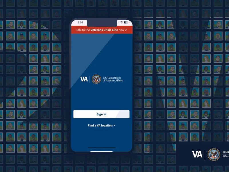 Veterans Affairs technology modernization